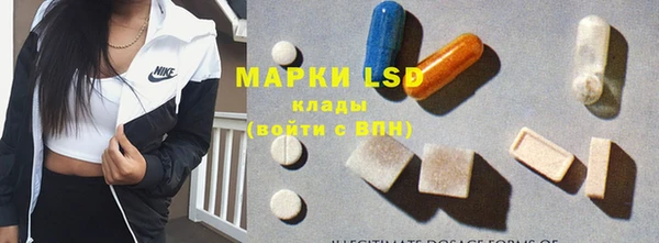 PSILOCYBIN Верхний Тагил