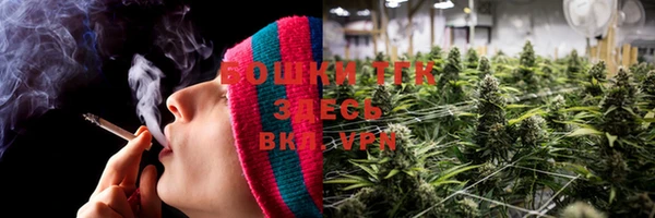 PSILOCYBIN Верхний Тагил