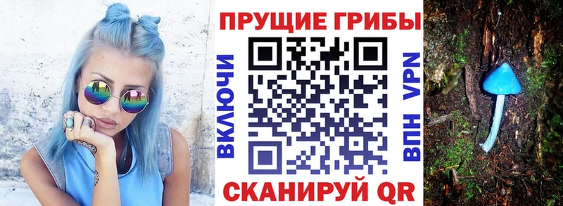 Галлюциногенные грибы Psilocybine cubensis Льгов